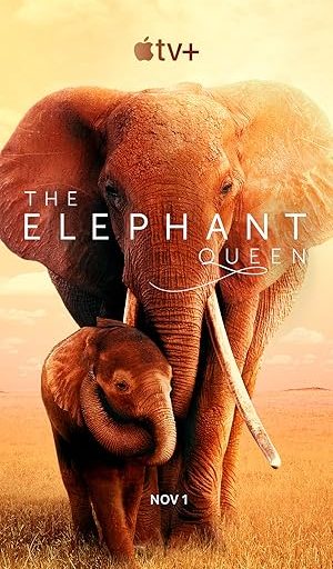 The Elephant Queen
