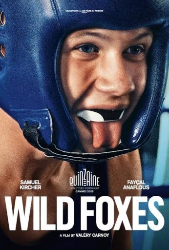 Wild Foxes