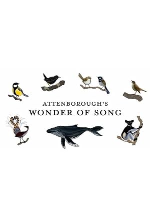 Attenborough’s Wonder of Song
